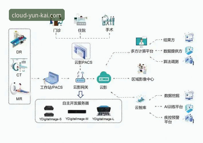 云开平台官方网站iOS版全面解析：从下载到体验的深度用户报告